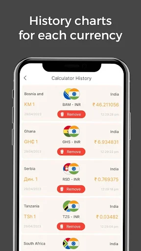 Calculator History feature showing multiple currency conversion records with country pairs, exchange rates, timestamps and Remove buttons for each entry