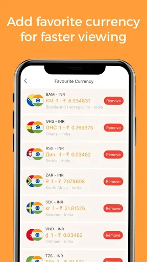 Favourite Currency list displaying preferred currency pairs BAM INR GHS RSD ZAR SEK VND TZS with removal options for quick currency access
