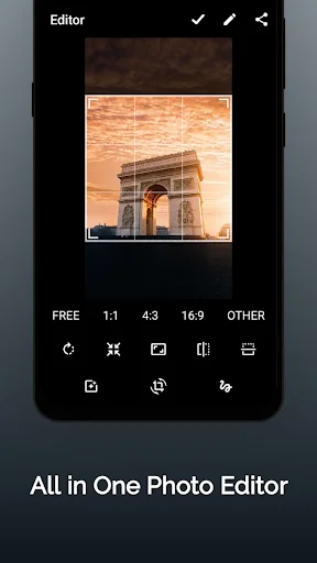 All-in-one photo editor showing archway image with aspect ratio options (FREE, 1:1, 4:3, 16:9) and editing toolbars