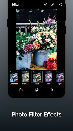 Photo filter effects editor displaying colorful flower arrangement with preset filters like Clarendon, Gingham, Mars, and Rice