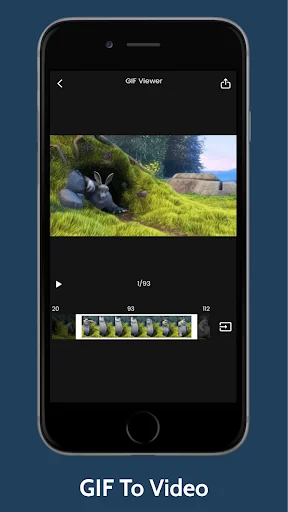 GIF to video converter with playback controls and interactive frame timeline preview