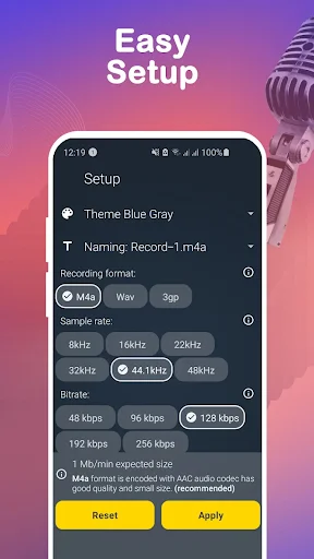 Audio recording setup with configuration options for format, sample rate, bitrate, and theme settings