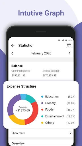 Intuitive Graph showing Statistics for February 2020 with opening balance $155,231.32, ending balance $176,353.53, and colorful expense structure breakdown
